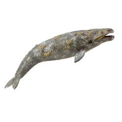 Gray Whale (3 Years +)