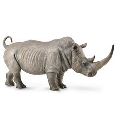 White Rhinoceros (3 Years +)