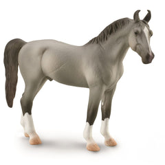 Marwari Stallion - Grey (3 Years +)