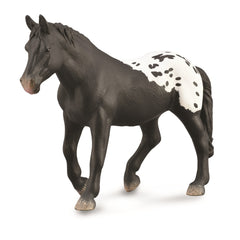 Sugarbush Draft Mare - Black Blanket with Spots (3 Years +)