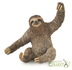 Sloth (3 Years +)