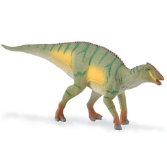 Kamuysaurus (3 Years +)