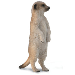 Meer Kat Standing (3 Years +)