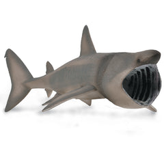 Basking Shark (3 Years +)
