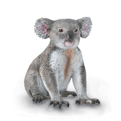 Koala (3 Years +)