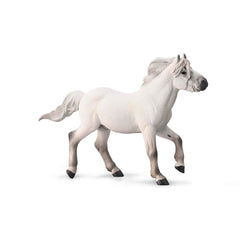 Yakutian Stallion Grey (3 Years +)