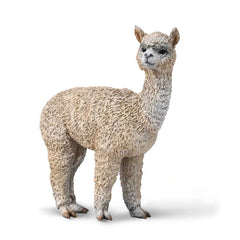 Alpaca (3 Years +)