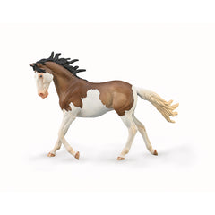 Mustang Mare - Bay Splash Overo (3 Years +)