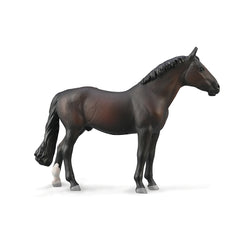 Holsteiner Stallion - Bay (3 Years +)