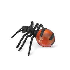 Honeypot Ant (3 Years +)