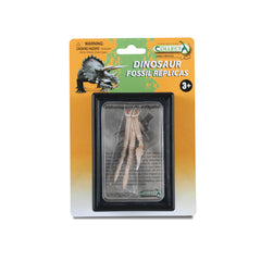 Foot Replica Of Velociraptor In Display Case (3 Years +)