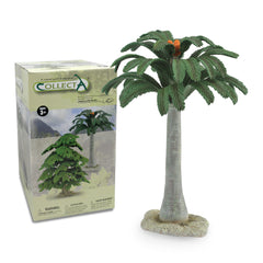 Cycad Tree Deluxe - 30cm (3 Years +)