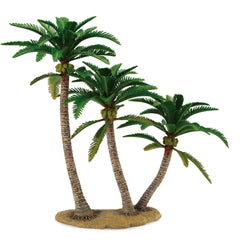 Coconut Palm (3 Years +)