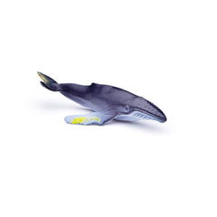 Mini Sea Animals (3 Years +)