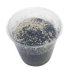 CLAY-BENTONITE/BLACK SAND 2.5LB