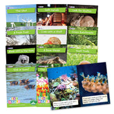 Real World Non-Fiction Hi-Lo Decodables Phase 4