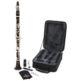 Buffet Crampon E12F intermediate Bb clarinet outfit