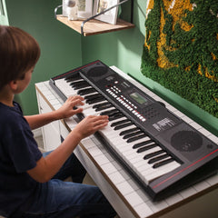 Roland E-X10 Arranger portable keyboard