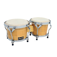 Club Salsa bongos in natural finish