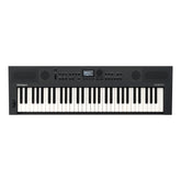 Roland GO:KEYS 5 Music Creation Keyboard - Graphite