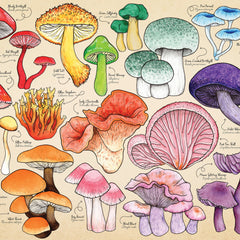Mushroom Mania Puzzle Tube - 150 Piece (6)