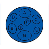 Pack of 4 Jumbie Jam steel pans - Blue