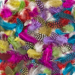 SCO FEATHERS SMALL SPOT PLUME 7G -Min Qty 12