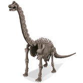 KidzLabs - Dig a Dinosaur Skeleton - Brachiosaurus (8 Years +)