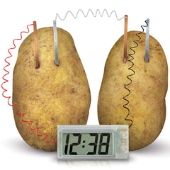 Green Science - Potato clock (5 Years +)