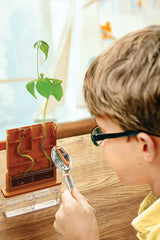 Green Science - Grow-A-Maze (5 Years +)