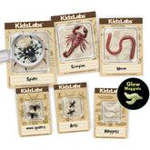 KidzLabs - Creepy Crawly Digging Kit (5 Years +)