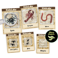 KidzLabs - Creepy Crawly Digging Kit (5 Years +)