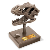 KidzLabs - Roaring T-Rex Skull (5 Years +)