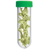 Kidzlabs - Glowing T-Rex Skeleton (5 Years +)
