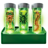 KidzLabs - Glow Critter Lab (5 Years +)
