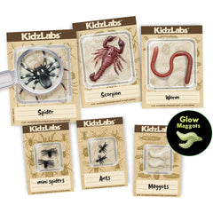 Kidzlabs - Creepy Crawly Digging Lab (5 Years +)