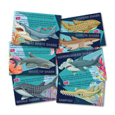 Mould & Paint - Sharks (5 Years +)