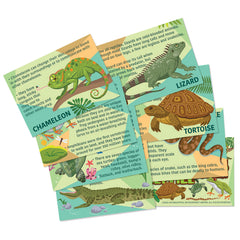 Mould & Paint - Reptile & Amphibian (5 Years +)