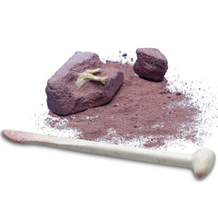 KidzLabs - Dig a Glow Dinosaur (5 Years +)