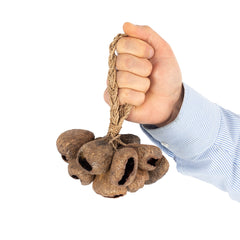 Percussion Plus Honestly Made Stringed seed shaker