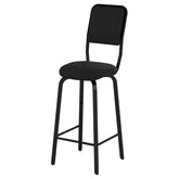 RAT double bass stool with back and adjustable legs