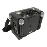 QTX DELTA-50 portable desktop PA with 2 VHF microphones