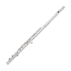 Trevor James Virtuoso intermediate flute outfit