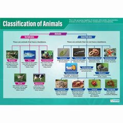 Poster - Our Animal World (Animal Classification)