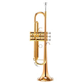 Yamaha YTR5335GII semi-professional Bb trumpet outfit
