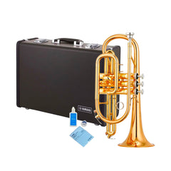 Yamaha YCR4330GII intermediate Bb cornet outfit - Gold lacquer
