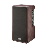 Laney A-Duo 120W acoustic guitar combo amplifier
