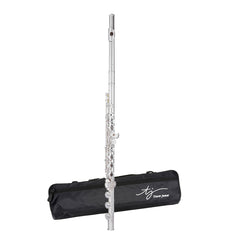 Trevor James Chanson step-up flute outfit