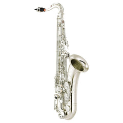 Yamaha YTS480 intermediate Bb tenor saxophone outfit – Silver plate