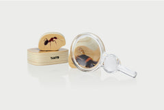 CLASS PACK OF MAGNIFIERS & HAND LENSES, PK35